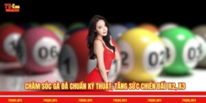 Chăm Sóc Gà Đá Chuẩn Kỹ Thuật, Tăng Sức Chiến Đấu X2, X3