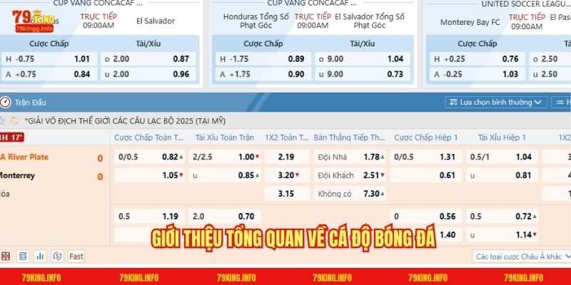 Giới thiệu về hình thức giải trí cá độ bóng đá