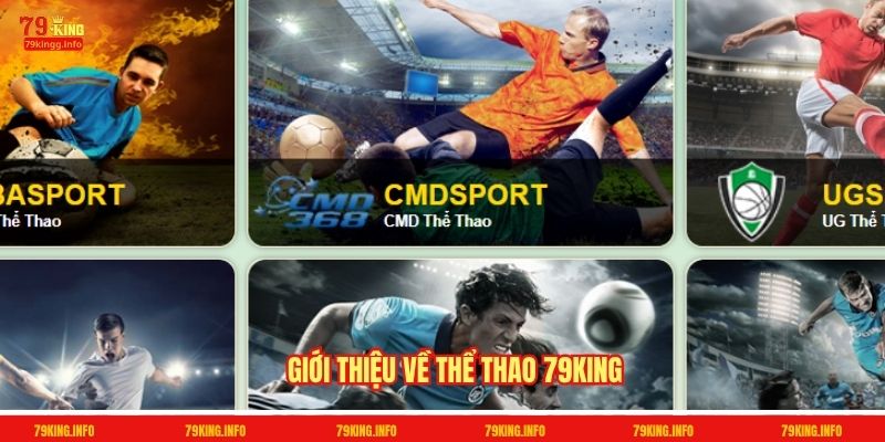 Giới thiệu về Thể thao 79King