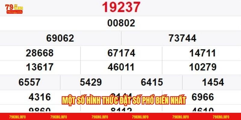 Một số hình thức đặt số phổ biến nhất