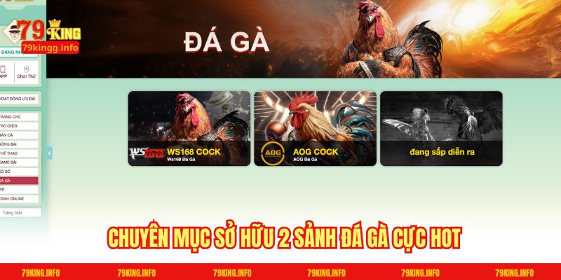 Chuyên mục sở hữu 2 sảnh Đá gà cực hot