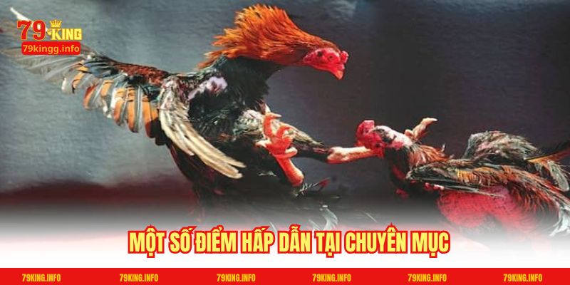 Một số điểm hấp dẫn tại chuyên mục
